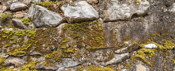 Green moss on old stone wall
