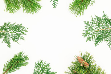 Christmas frame with winter tree branches on white background. Festive background. Flat lay