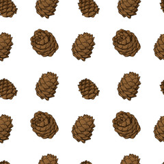 Cedar cones seamless pattern. Colorful vector illustration of cedar cones in engraving technique. Isolated on white background.