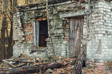 Fototapeta na wymiar ruins of a brick house in Chernobyl