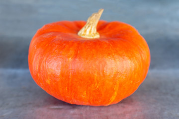 Orange pumpkin on a gray background.