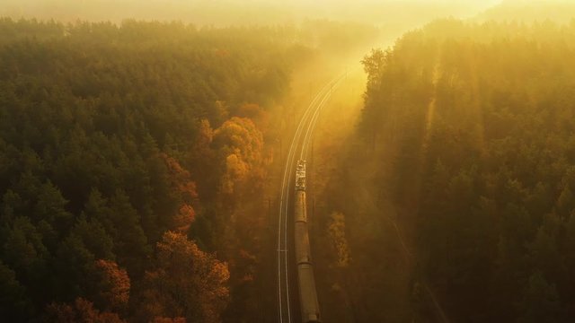 The train rides by rail, which runs through the autumn deciduous coniferous forest. The rays of the sun cut through the mist, creating a mystical atmosphere. The drone flies smoothly over the train. 4