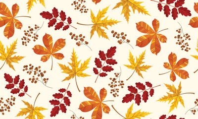 Fototapeta premium Beautiful pattern seamless of yellow red and orange leaves. Maple, ash and oak. Hand drawn style fresh rustic eco. Vector decorative cute elegant illustration isolated white background