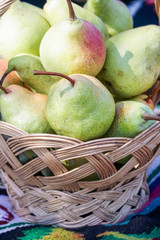 a basket full of ripe and fresh pears