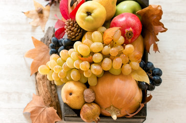 Autumn harvest, seasonal organic fruit and vegetable in crate