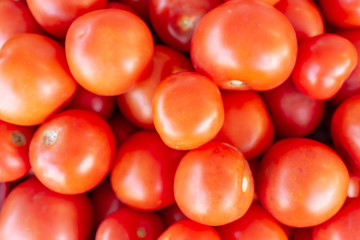 Summer tray market agriculture farm full of organic vegetables tomatoes background.