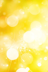 abstract colorful christmas bokeh background