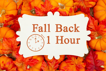 Fall Back 1 hour time change message on a metal sign on pumpkins