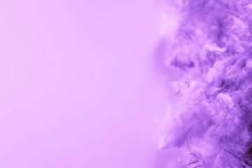 Beautiful abstract blue and purple feathers frame on darkness background and colorful soft white pink feather portrait frame texture