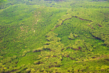 Summer views from Ay Petri to the surroundings. Forest