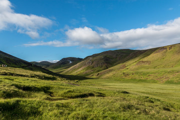 Fototapeta premium Iceland