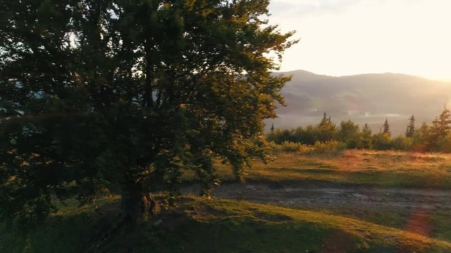 the guy moves among nature and mountains