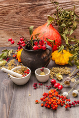 Halloween concept background. Witch bowler, mistletoe, elderberry. Dry herbs, flowers, fresh berries