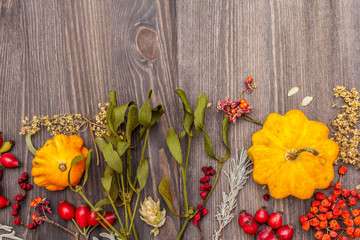 Halloween autumn concept. Pumpkin, mistletoe, elderberry, poppy, hop, dog rose, schisandra
