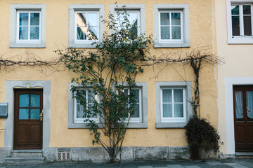 Rural apartment house in the fall or winter. The plants withered. © franz12