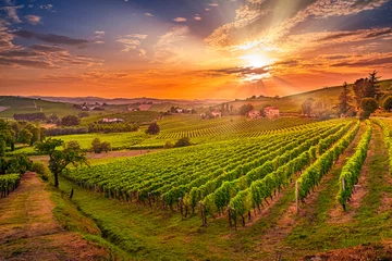 Deurstickers Wijngaard Spectaculair groothoekbeeld van Italiaanse wijngaarden over de glooiende heuvels bij zonsondergang