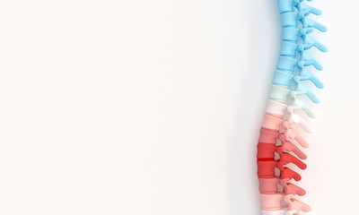 3d illustration render of a spine
