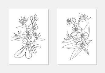 vector strelitzia orhids exotic flower palm leaf coloring book  bouquet composition outline illustration
