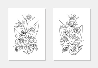vector coloring book strelitzia rose flower berry bouquet composition outline illustration