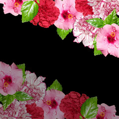 Beautiful floral background of hibiscus and carnations. Isolated