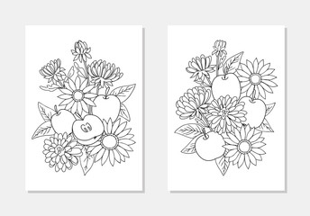 vector chrysanthemums daisy apple fruir flower bouquet outline illustration for coloring