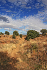 Bucolic image, countryside landscape