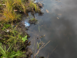 Garbage in the river. Plastic in the river.