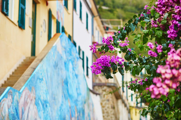 Picturesque street in Riomaggiore