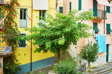 Fototapeta na wymiar Colorful houses in Riomaggiore, Italy