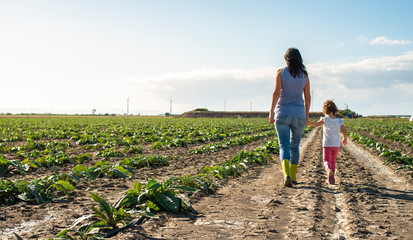 Woman farmer and little girl walking on the agriculture land. - 298022910