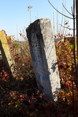 An old cluttered Jewish cemetery with uneven tombstones carved in Hebrew is a preserved story.