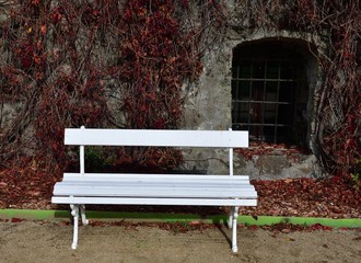 Autumn composition with white bench before red leaves of sucker  and with the window to the dungeon in the castle park