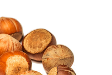 Brown hazelnuts on a white background