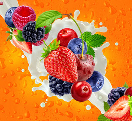 Naklejki  Fresh milk or yogurt 3D splash with ripe strawberry, raspberry, blueberry, cherry, blackberry. Healthy dairy product ad design elements with milk, yogurt, forest fruits, berries on colorful background