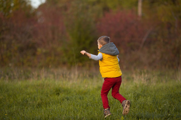 Little cute boy 5 years old walks in the autumn garden. Portrait of a happy boy in bright, autumn clothes.Warm and bright autumn.