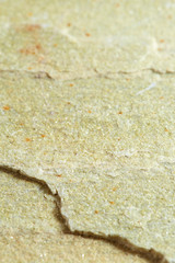 Grainy texture of yellow-beige raw slate with a chip in the lower left part. Shale and Sandstone, facing with natural stone.