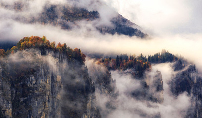 Misty forest on mountain edge in the alps in autumn / Wald in Wolken auf Bergkante in den herbstlichen Alpen