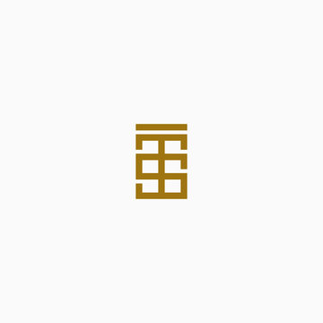 Letter TS initial gold Logo Icon Design Template. Elegant, Luxury, Modern Vector Illustration
