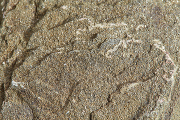 Grainy texture of greenish-beige volcanic stone. Natural backgrounds and textures. Top view.