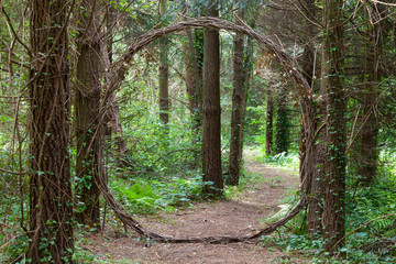 Arco vegetal en un bosque