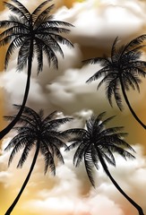 Beautiful view of coconut palm trees with sunset time