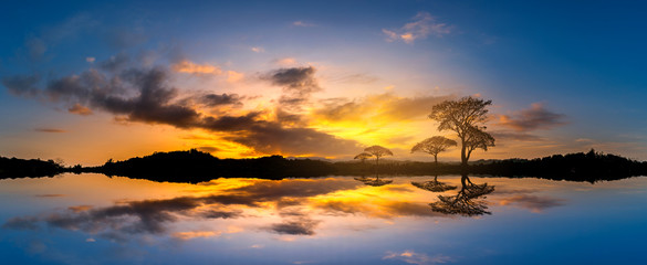 Panorama silhouette tree and Mountain with sunset.Tree silhouetted against a setting sun reflection on water.Typical african sunset with acacia trees in Masai Mara, Kenya.