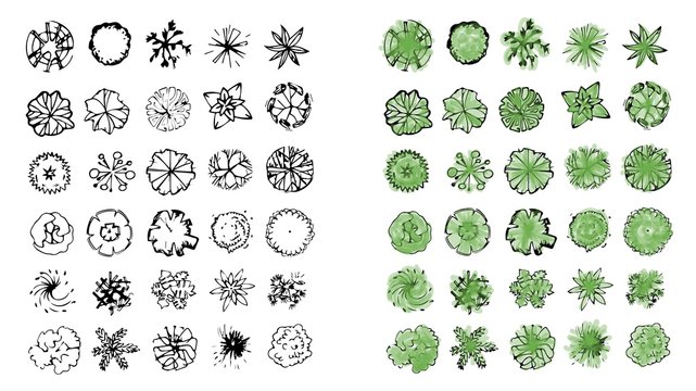 Various green trees, bushes and shrubs, top view for landscape design plan. Vector illustration, isolated on white background.