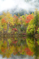 まいめの池の紅葉