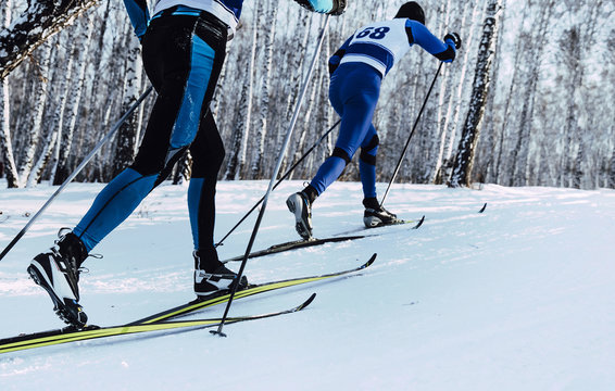 Two Athletes Skiers Move In Cross Country Skiing