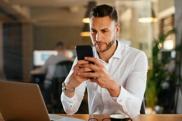 Businessman using phone in the office