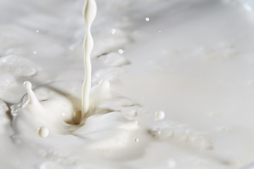 Fototapeta na wymiar Stream of milk. Drops, splashes, bubbling surface. Background for your product.