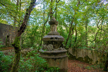An old ruined fountain in a forest clearing
