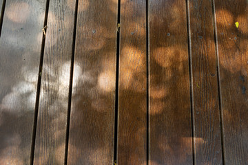 Background of natural wood planks floor with tree shadows warm light