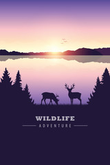wildlife adventure elk in the wilderness by the lake at sunset vector illustration EPS10